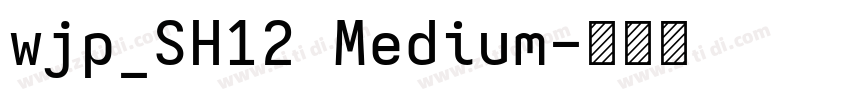 wjp_SH12 Medium字体转换 wjp_SH12 Medium字体转换